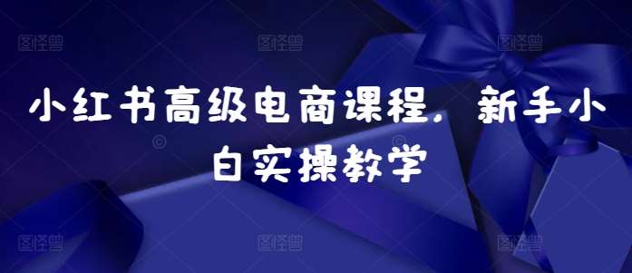 小红书高级电商课程，新手小白实操教学-泰戈创艺资源库