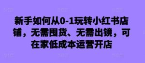 新手如何从0-1玩转小红书店铺,无需囤货、无需出镜,可在家低成本运营开店-泰戈创艺资源库