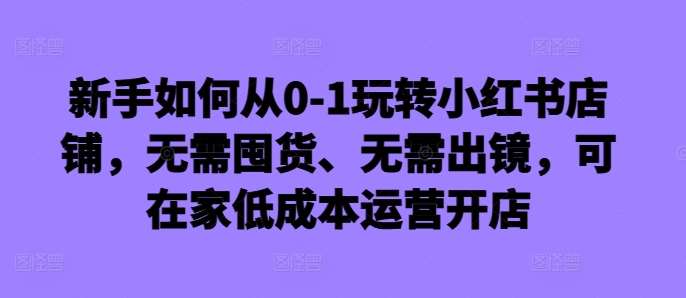 新手如何从0-1玩转小红书店铺，无需囤货、无需出镜，可在家低成本运营开店-泰戈创艺资源库