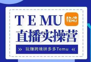 Temu直播实战营,玩赚跨境拼多多Temu,国内电商卷就出海赚美金-泰戈创艺资源库