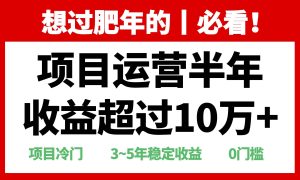 （13663期）年前过肥年的必看的超冷门项目，半年收益超过10万+，-泰戈创艺资源库