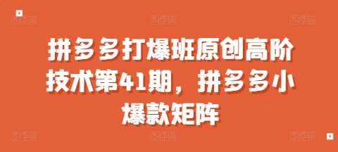 拼多多打爆班原创高阶技术第41期，拼多多小爆款矩阵-泰戈创艺资源库