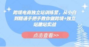 跨境电商独立站训练营,从小白到精通手把手教你做跨境+独立站建站实战-泰戈创艺资源库