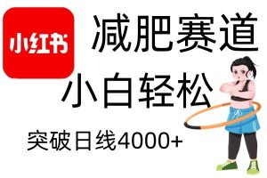 小红书减肥赛道，简单零成本，无需剪辑，不用动脑，小白轻松日利润4000+-泰戈创艺资源库