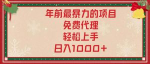 （13773期）年前最暴力的项目，免费代理，轻松上手，日入1000+-泰戈创艺资源库