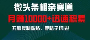 微头条相亲赛道，迅速积累，无脑复制粘贴，野路子玩法，月入1w-泰戈创艺资源库