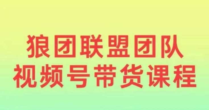 狼团联盟2024视频号带货，0基础小白快速入局视频号-泰戈创艺资源库