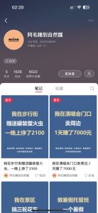 【小红书+项目分享笔记玩法】-泰戈创艺资源库