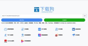 下载狗-免费无水印视频下载器 支持全网100+主流网站-泰戈创艺资源库