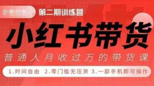 小Red书带货42天训练营 2.0版,宝妈+自由职+上班族+大学生,提高副业收入的大红利项目-泰戈创艺资源库