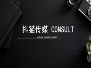 抖猫学院小红书聚光详细操作流程实操-泰戈创艺资源库