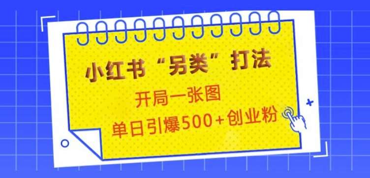 小红书“另类”打法，开局一张图，单日引爆500+精准创业粉【揭秘】-泰戈创艺资源库