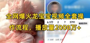 全网爆火龙宝宝视频全套操作流程,播放量2000万+-泰戈创艺资源库