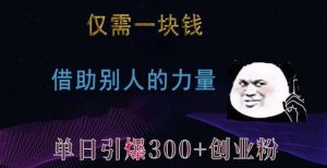 仅需一块钱,借助别人的力量,单日引爆300+创业粉、兼职粉【揭秘】-泰戈创艺资源库