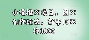 小说推文项目,图文创作玩法,新手10天挣3000-泰戈创艺资源库