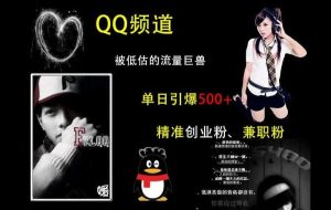 QQ频道:被低估的流量巨兽,单日引爆500+精准创业粉、兼职粉的引流秘籍-泰戈创艺资源库