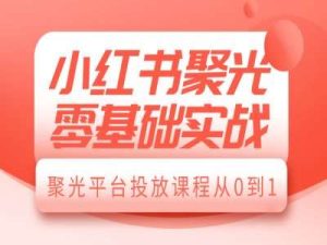 小红书聚光零基础实战,聚光平台投放课程从0到1-泰戈创艺资源库