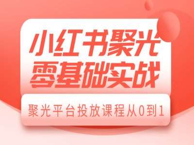 小红书聚光零基础实战，聚光平台投放课程从0到1-泰戈创艺资源库