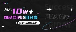 月入十万+的网创项目分享，成年人的最快翻身之道-泰戈创艺资源库