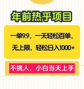 (13795期)一单9.9,一天百单无上限,不挑人,小白当天上手,轻松日入1000+-泰戈创艺资源库