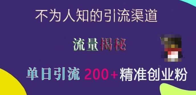 不为人知的引流渠道，流量揭秘，实测单日引流200+精准创业粉【揭秘】-泰戈创艺资源库