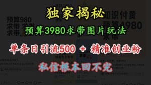 预算3980求带 图片玩法，单条日引流500+精准创业粉，私信根本回不完-泰戈创艺资源库