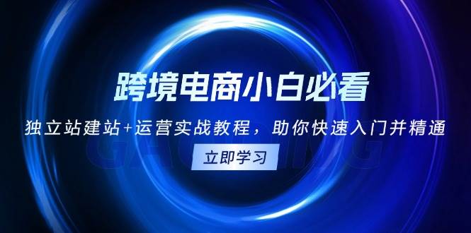 (13503期)跨境电商小白必看!独立站建站+运营实战教程,助你快速入门并精通-泰戈创艺资源库