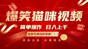 爆笑猫咪视频:简单操作,日入过千,视频号搞钱新策略!-泰戈创艺资源库