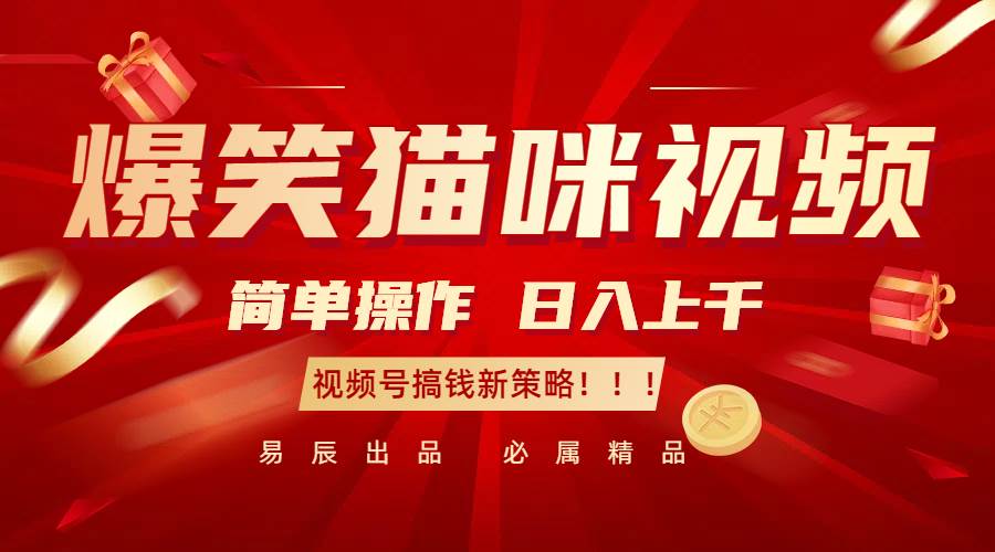 爆笑猫咪视频：简单操作，日入过千，视频号搞钱新策略！-泰戈创艺资源库