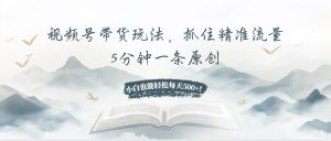 （13492期）视频号带货玩法，抓住精准流量，5分钟一条原创，小白也能轻松每天500+！-泰戈创艺资源库