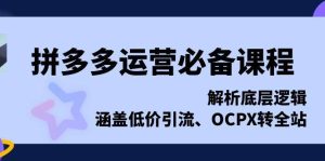 (13700期)拼多多运营必备课程,解析底层逻辑,涵盖低价引流、OCPX转全站-泰戈创艺资源库
