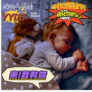 AI制作动物与萌娃互动视频，瞬间萌化你的心，粉丝大米一起收货！-泰戈创艺资源库