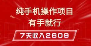 纯手机操作的小项目,有手就能做,7天收入2609+实操教程【揭秘】-泰戈创艺资源库