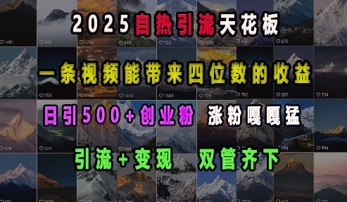 2025自热引流天花板，一条视频能带来四位数的收益，引流+变现双管齐下，日引500+创业粉，涨粉嘎嘎猛-泰戈创艺资源库