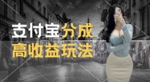 支付宝分成计划新玩法，利用交通事故视频，赚收益，轻松月入过W，操作简单【揭秘】-泰戈创艺资源库