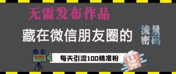 藏在微信朋友圈的流量密码，无需发布作品，单日引流100+精准创业粉【揭秘】-泰戈创艺资源库