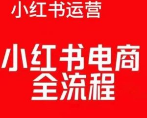 红薯电商实操课，小红书电商全流程-泰戈创艺资源库