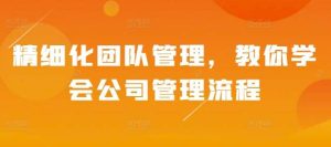 精细化团队管理,教你学会公司管理流程-泰戈创艺资源库