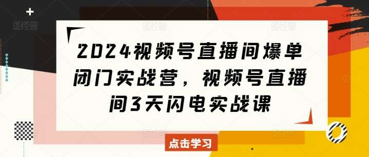 2024视频号直播间爆单闭门实战营，视频号直播间3天闪电实战课-泰戈创艺资源库