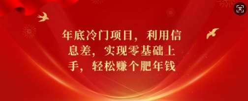 年底冷门项目，利用信息差，实现零基础上手，轻松赚个肥年钱【揭秘】-泰戈创艺资源库