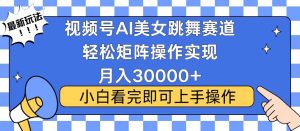 （13813期）视频号蓝海赛道玩法，当天起号，拉爆流量收益，小白也能轻松月入30000+-泰戈创艺资源库