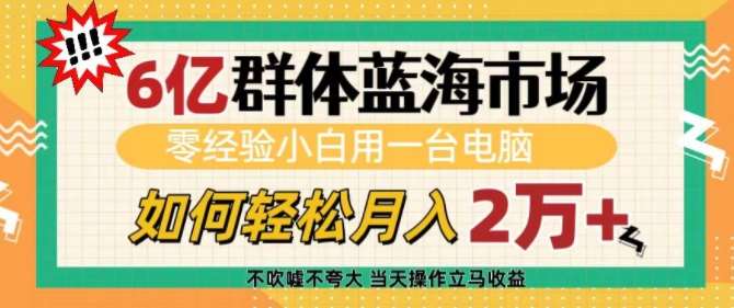 6亿群体蓝海市场，零经验小白用一台电脑，如何轻松月入过w【揭秘】-泰戈创艺资源库