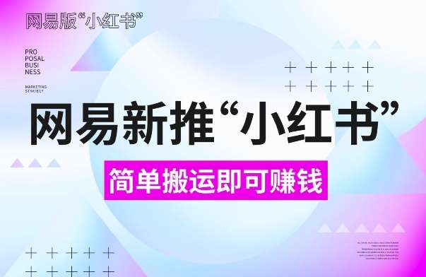 网易官方新推“小红书”，搬运即有收益，新手小白千万别错过(附详细教程)【揭秘】-泰戈创艺资源库