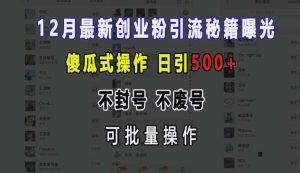12月最新创业粉引流秘籍曝光 傻瓜式操作 日引500+ 不封号 不废号 可批量操作【揭秘】-泰戈创艺资源库