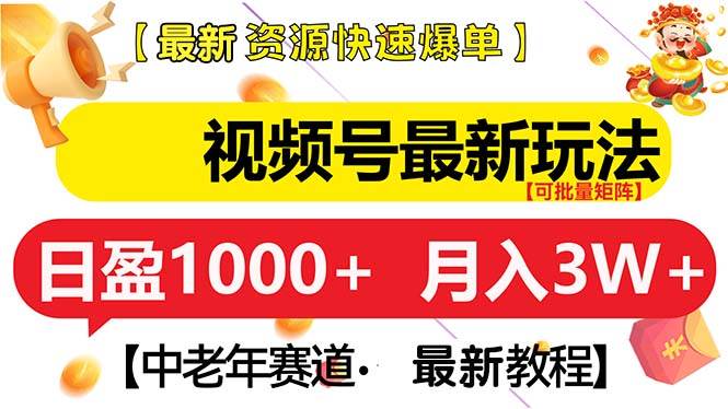 （13530期）视频号最新玩法 中老年赛道 月入3W+-泰戈创艺资源库