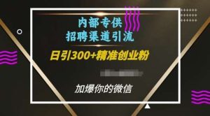 内部招聘渠道日引流300+创业粉,加爆你的微信【揭秘】-泰戈创艺资源库