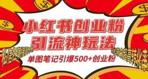 小红书创业粉引流神玩法，单图笔记引爆500+精准创业粉丝，私信狂潮接连不断-泰戈创艺资源库
