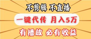 （13555期）不剪辑不直播，一键代发，月入5万懒人必备，我出视频你来发-泰戈创艺资源库