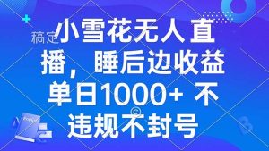 （13491期）小雪花无人直播 睡后收益单日1000+ 零粉丝新号开播 不违规 看完就会-泰戈创艺资源库