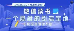微信读书，一个隐藏的引流宝地，不为人知的小众打法，日引流300+精准创业粉，长尾流量源源不断-泰戈创艺资源库